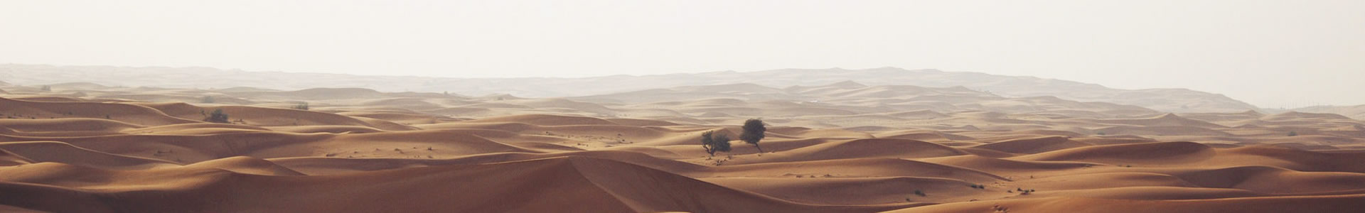 пƻʯƼ޹˾
